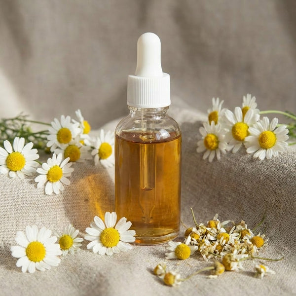 Chamomile Extract